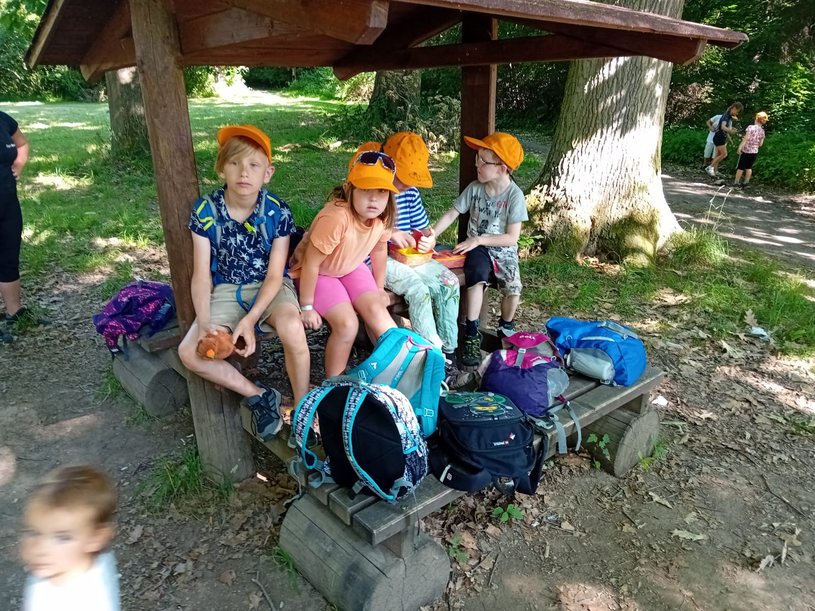 IMG-20250702-WA0001