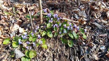 WhatsApp Image 2026-03-22 at 10.05.43