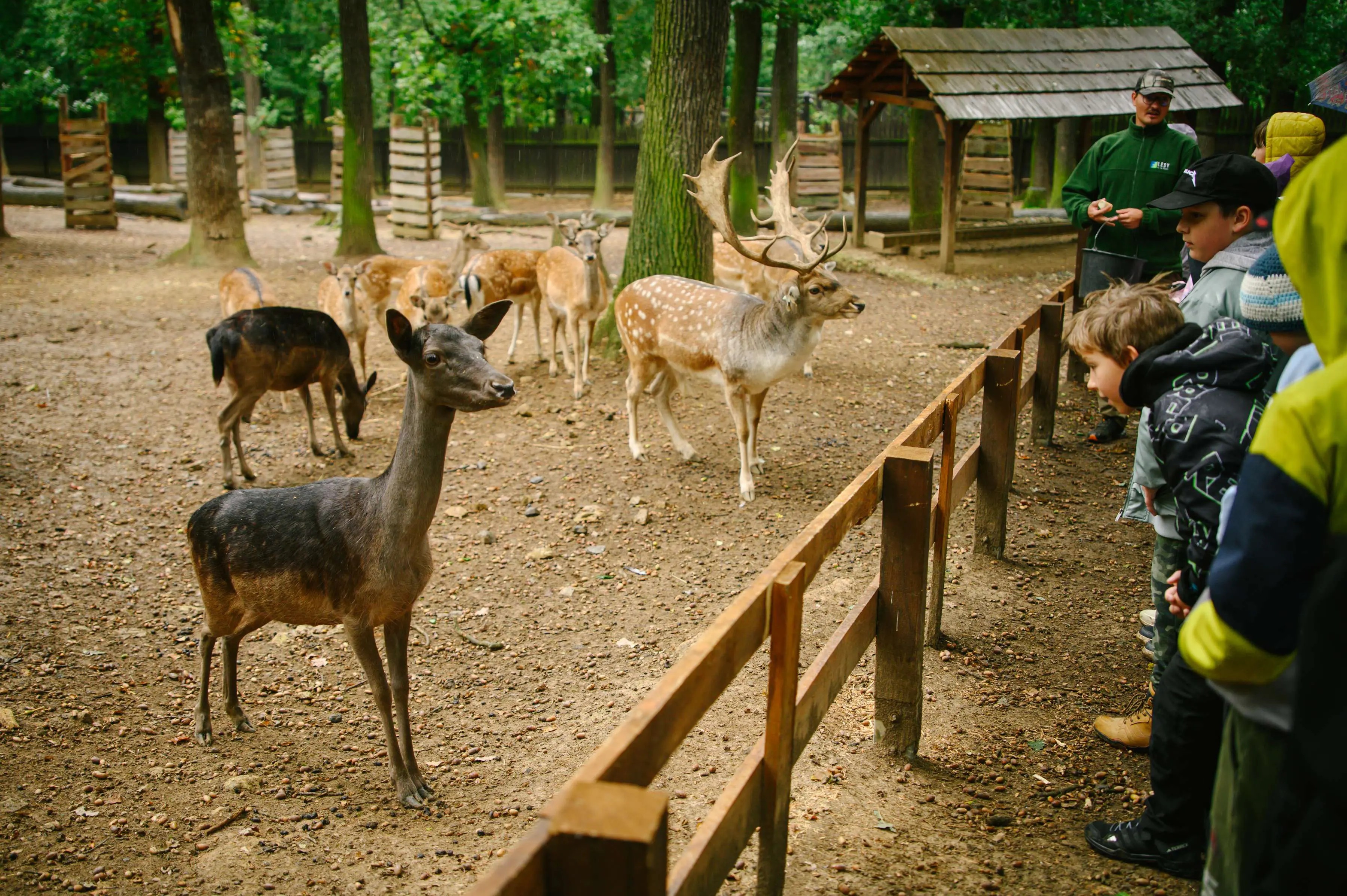 zachranna-stanice-zookoutky_mala_chuchle_01.jpg