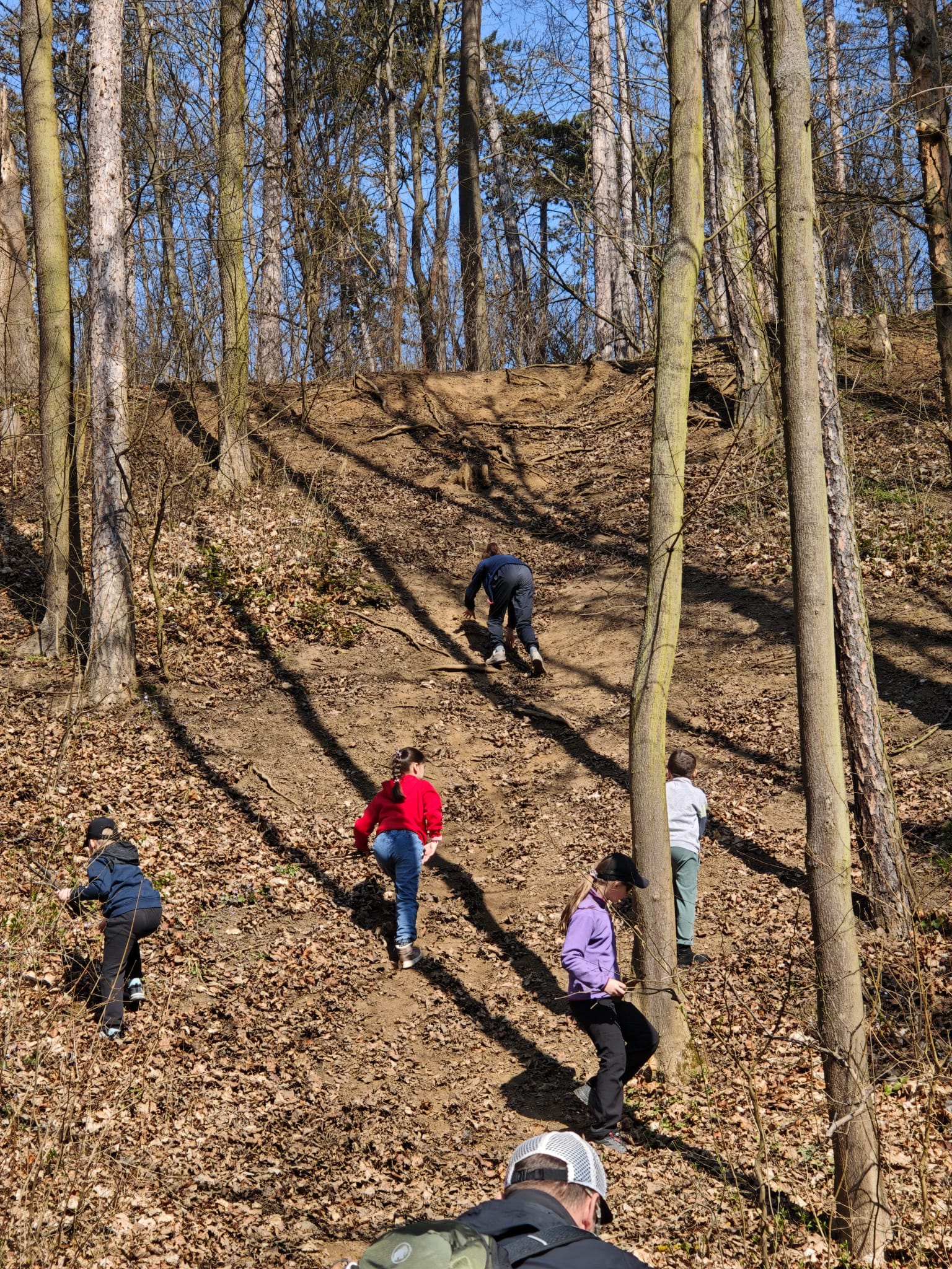 WhatsApp Image 2026-03-22 at 10.32.28