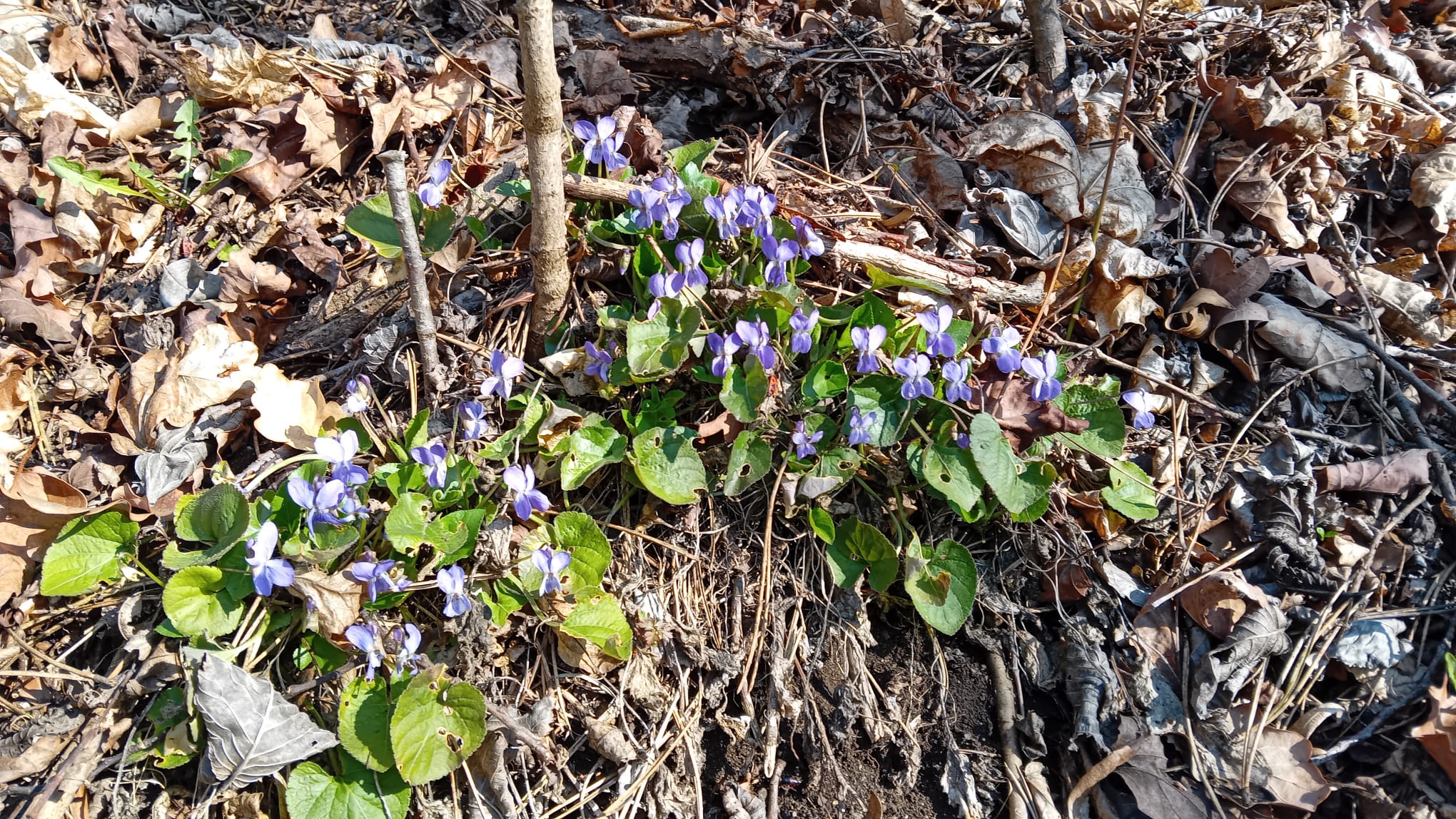 WhatsApp Image 2026-03-22 at 10.05.43