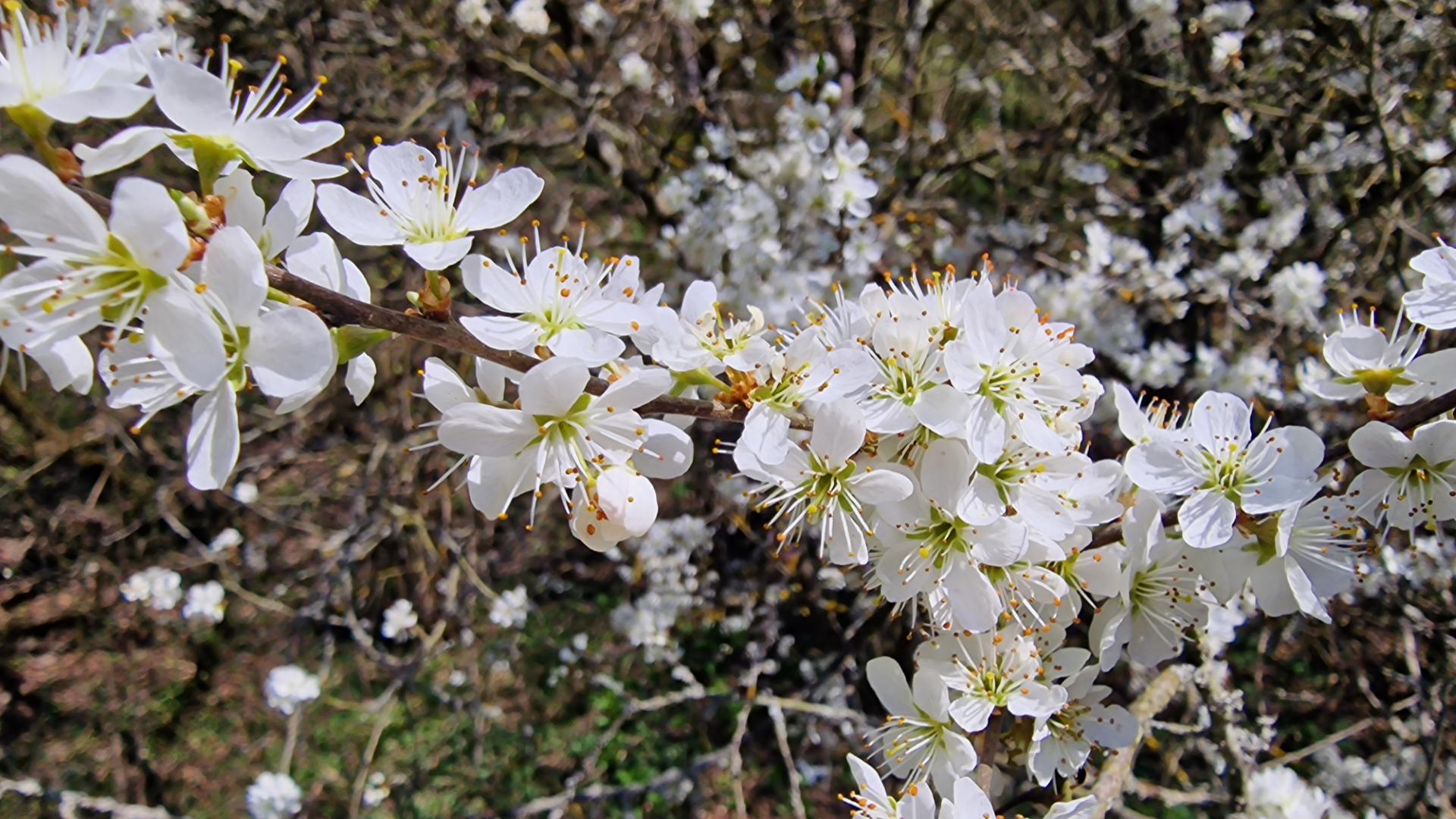 20260418_104819_resized