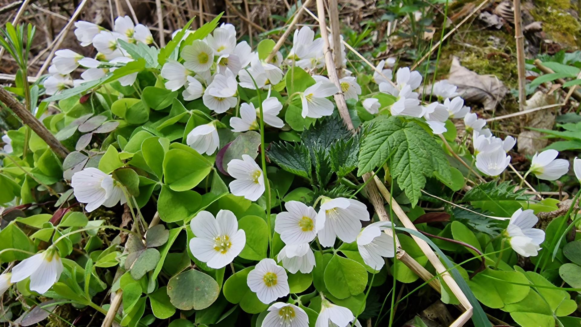 20260418_123941_resized