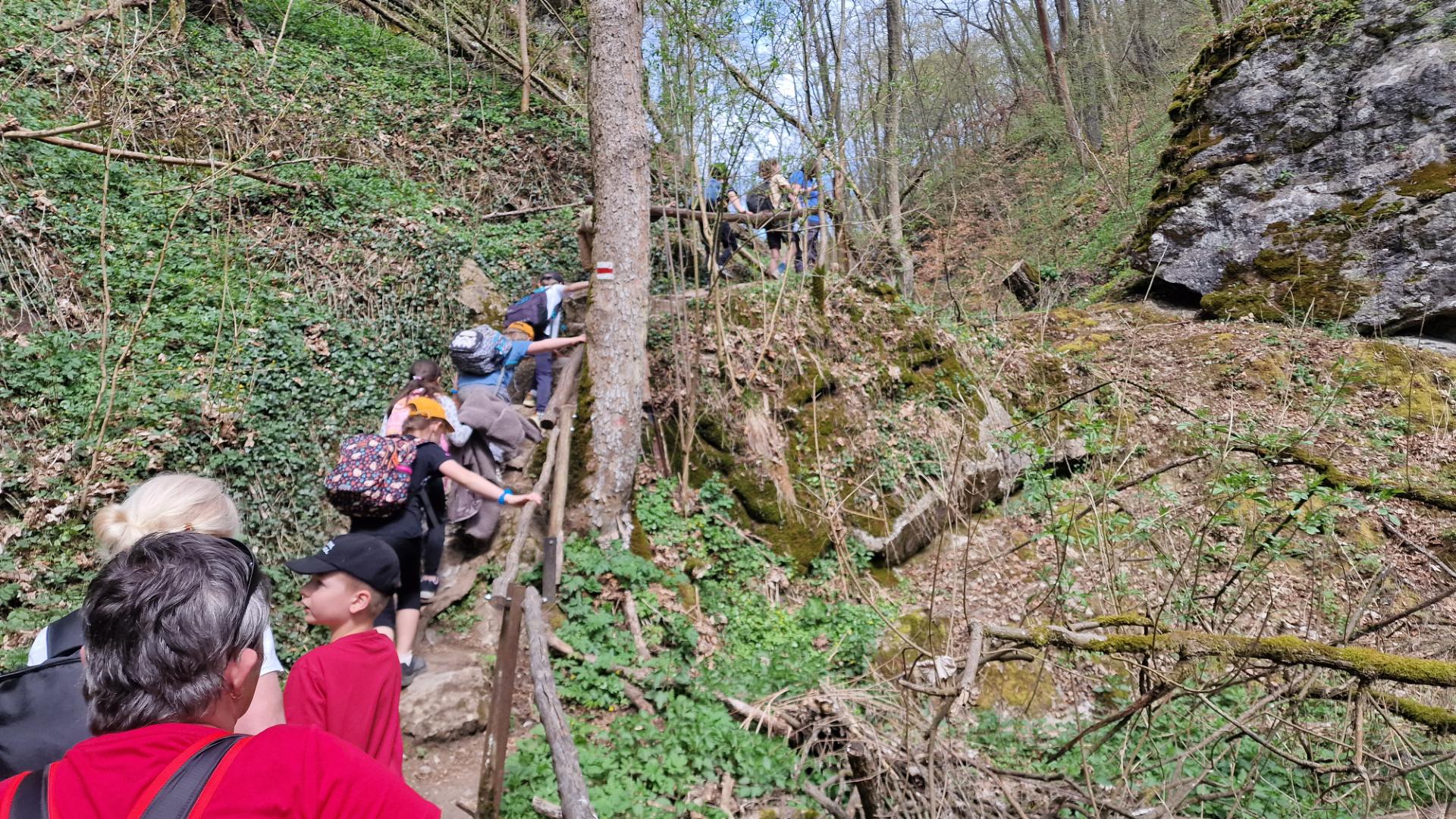 20260418_120604_resized