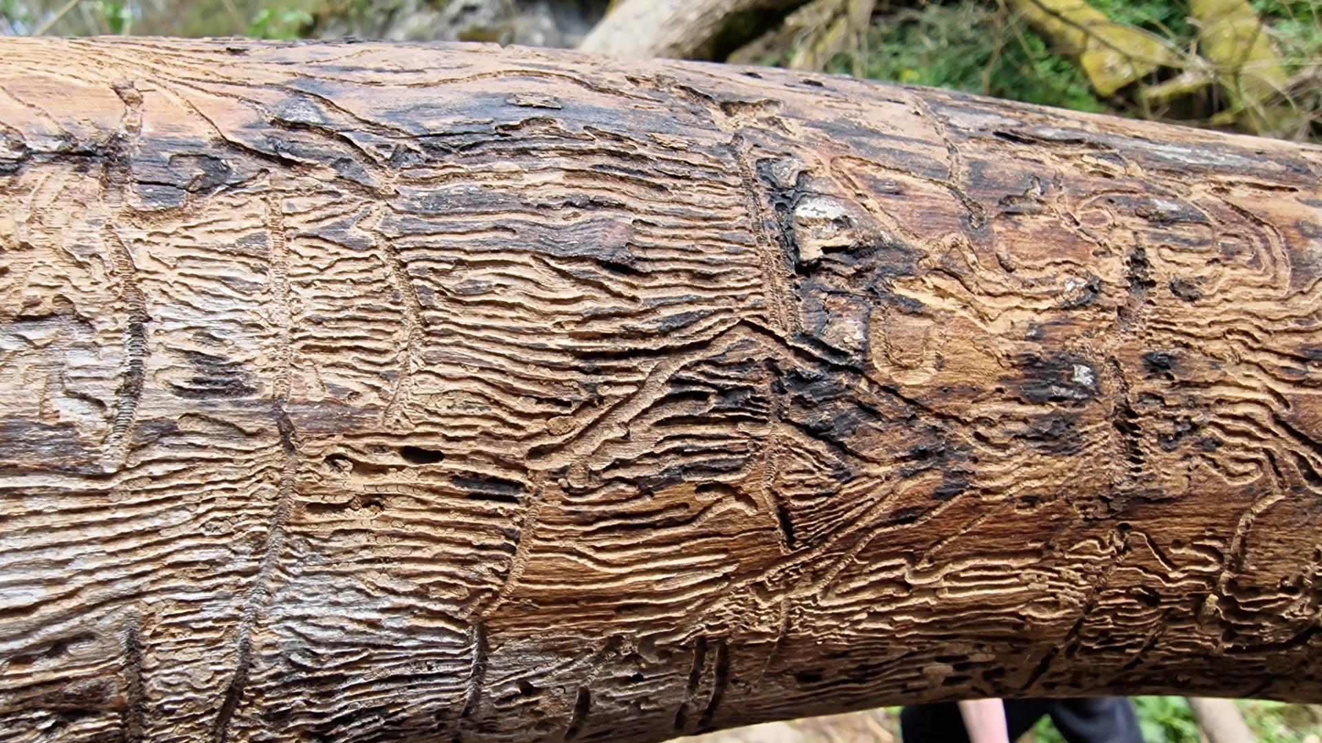 20260418_120523_resized