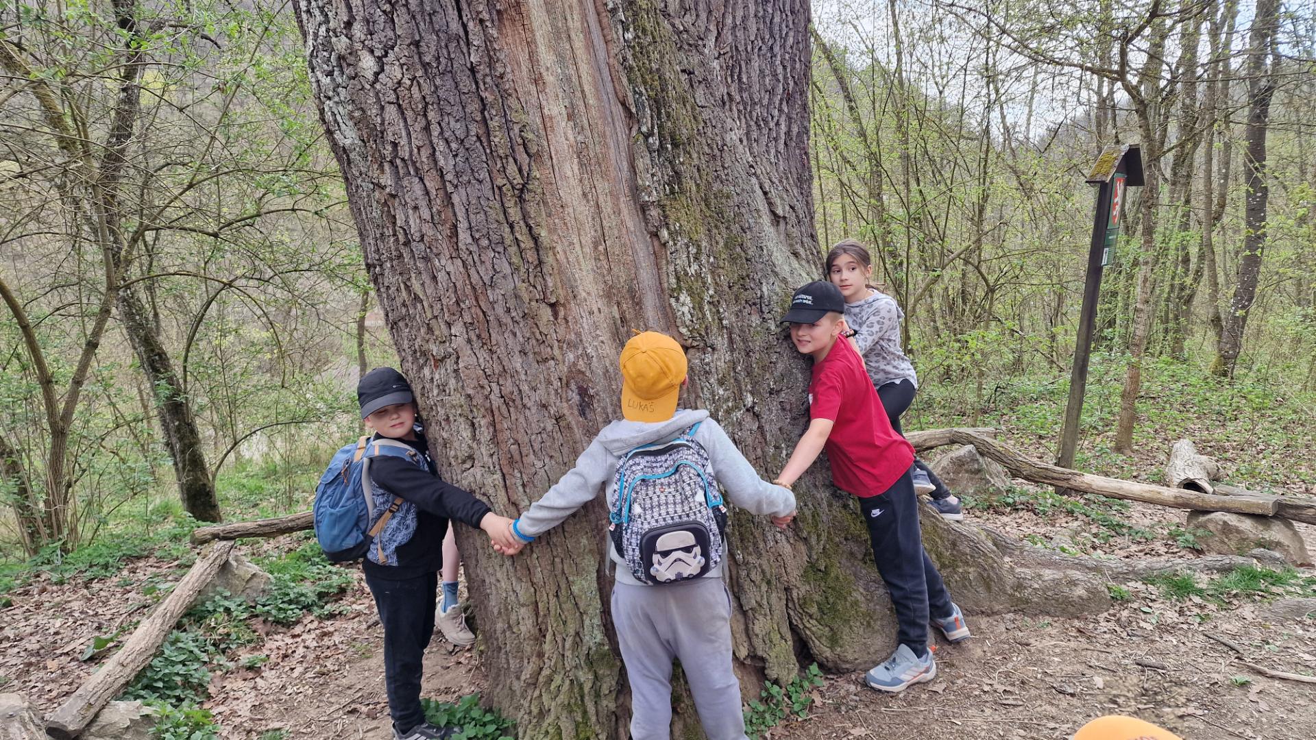 20260418_163334_resized