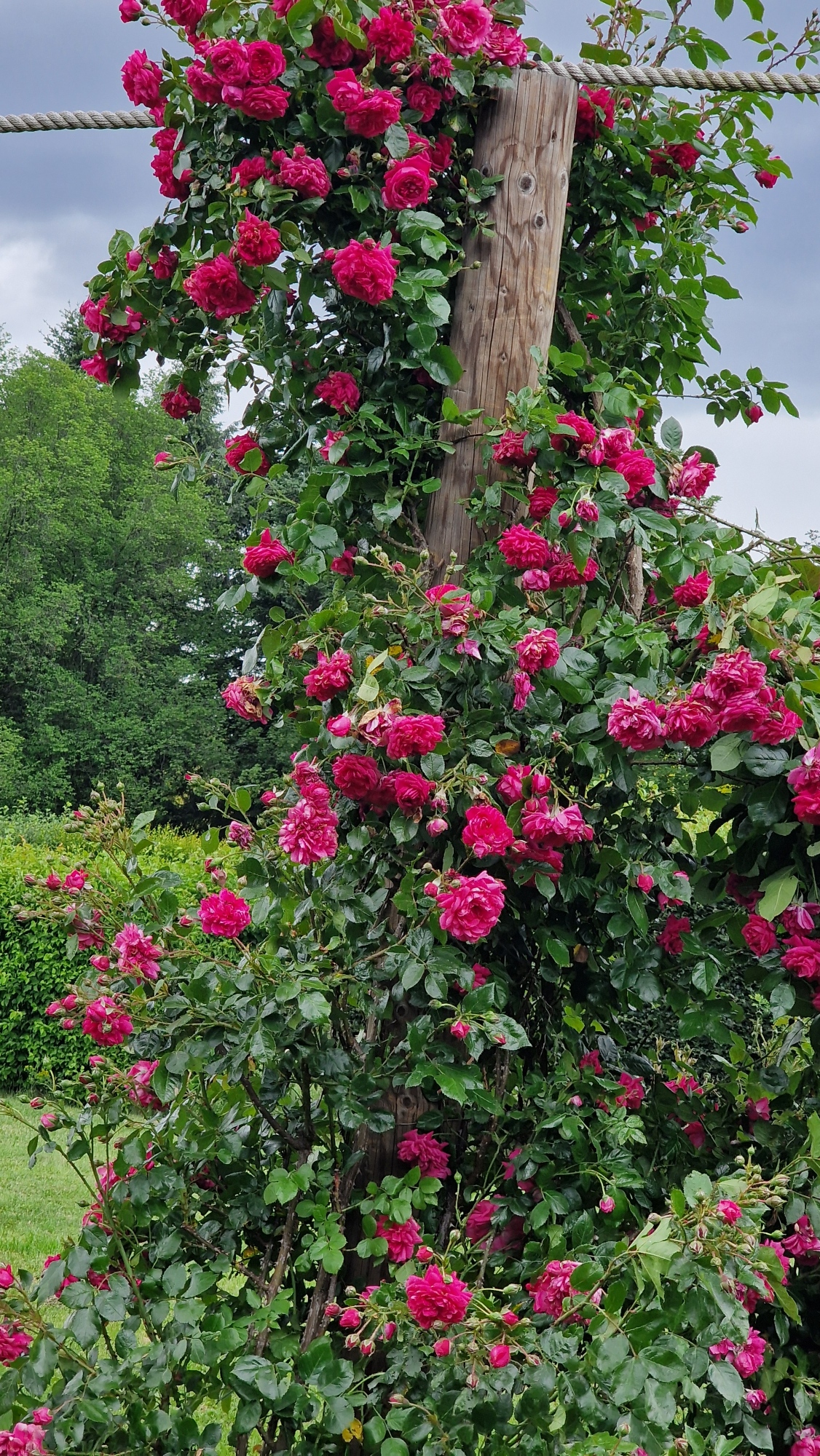 20260614_144145