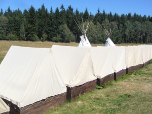 lisek8.jpg