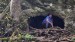 20260418_121408_resized